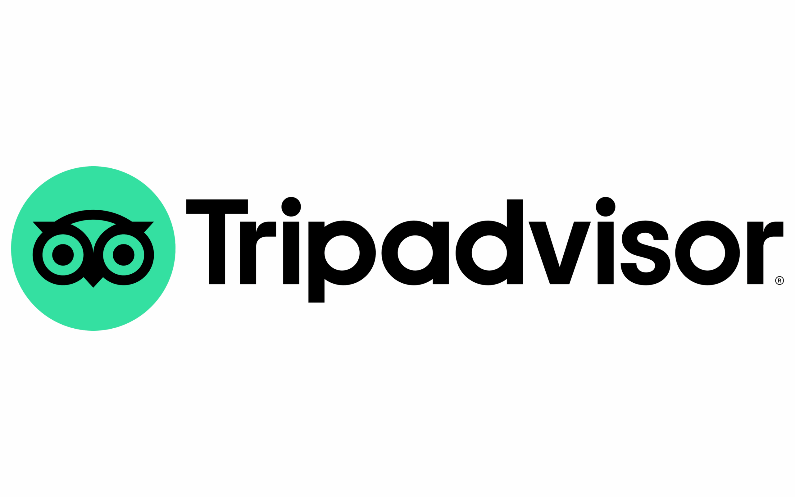 Tripadvisor-Logo